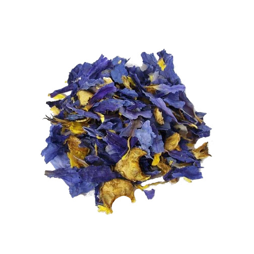 Blauwe lotus (Nymphaea caerulea)